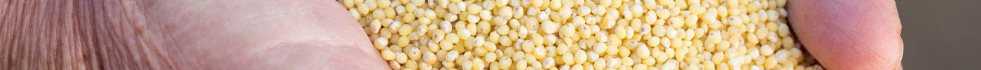 Best Millets in India