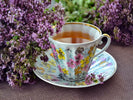 Discovering the Best Herbal Teas for Health and Wellness