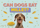 can dogs eat millets