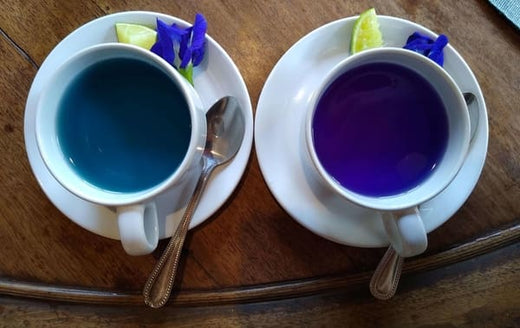 Best Blue Tea in India