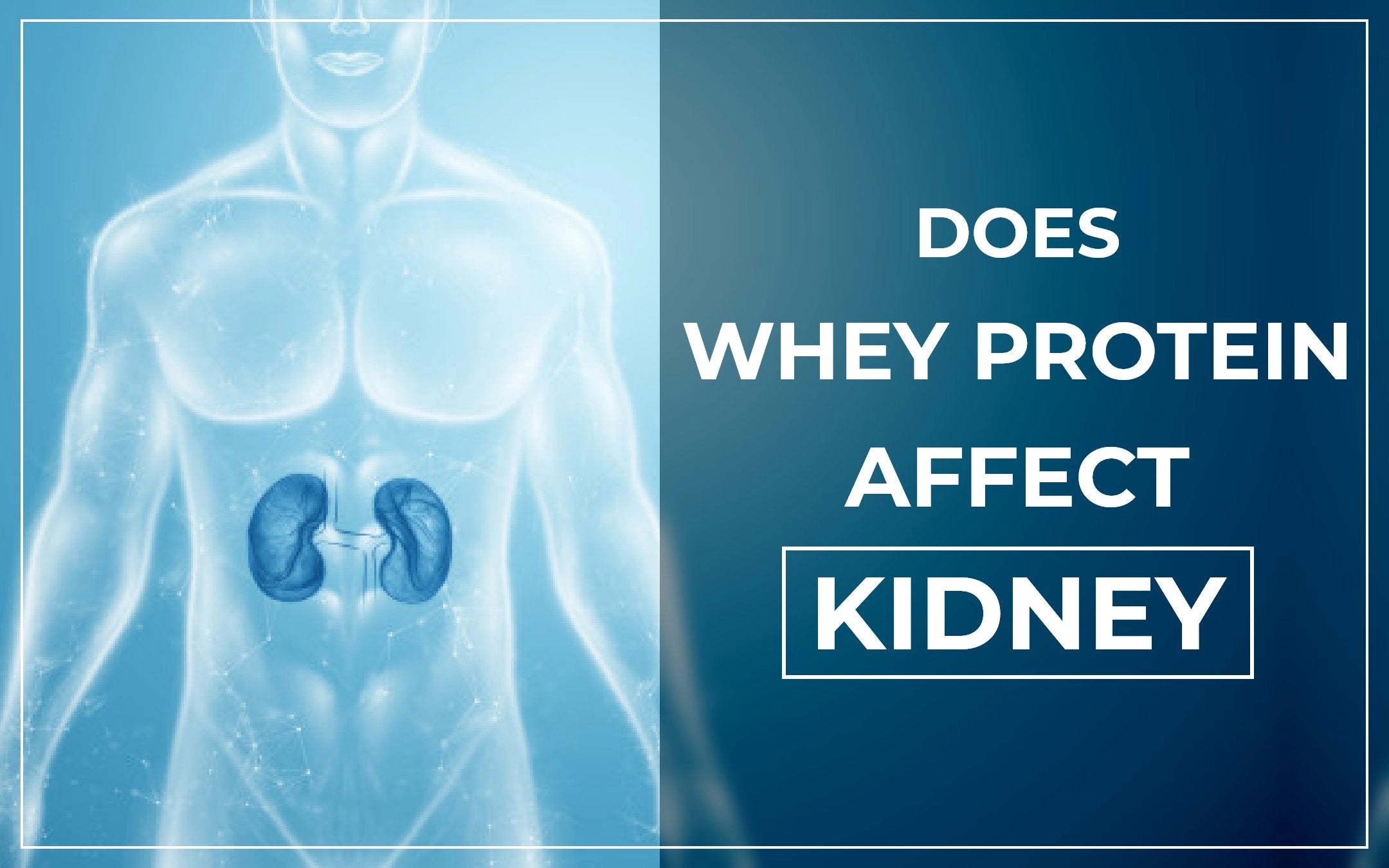 Is whey protein safe for the kidneys?