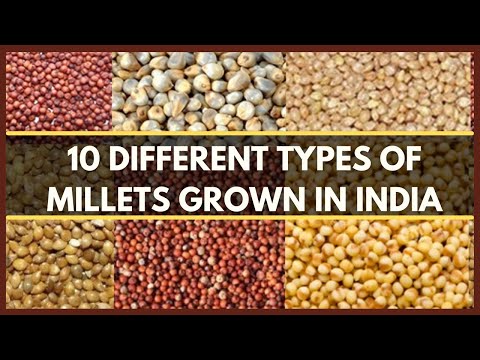 What is millet called in India?