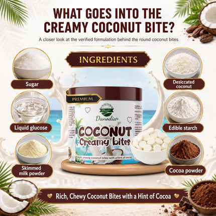 Chocolate Coconut Creamy Bites, Chewy Indian Candy, 300g Pack